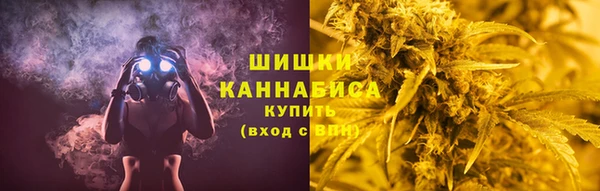 твердый Горняк