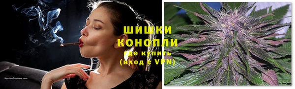 мяу мяу мука Горно-Алтайск