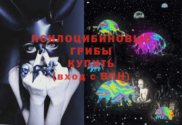твердый Горняк