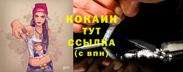 гидра Гусь-Хрустальный