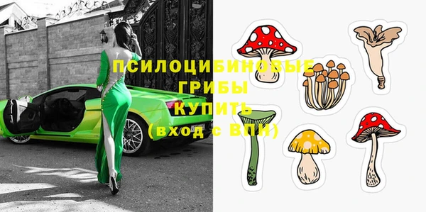 гидра Гусь-Хрустальный