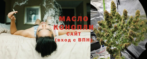 твердый Горняк