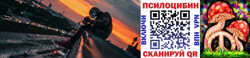 МЕГА ссылки  Дмитровск  Галлюциногенные грибы Magic Shrooms 